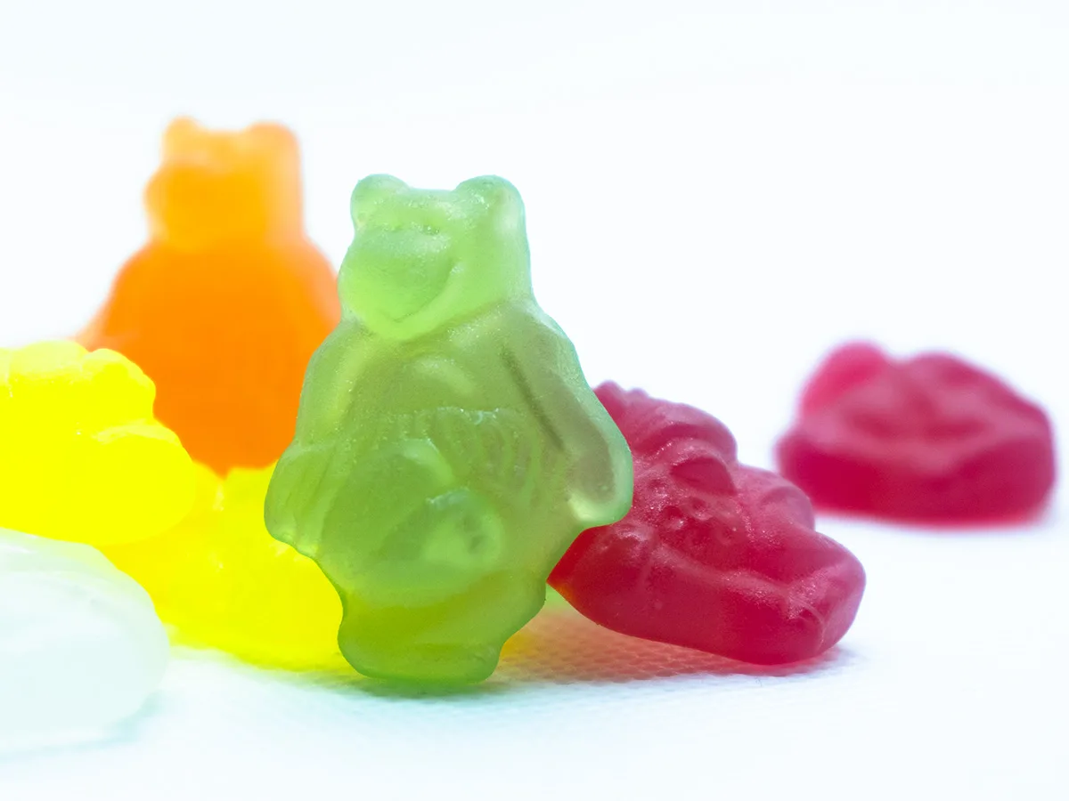 Exotik-Bären ohne Zucker