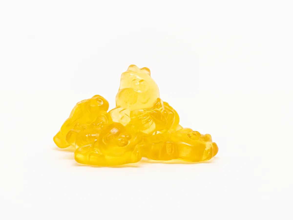 Honigbienen
