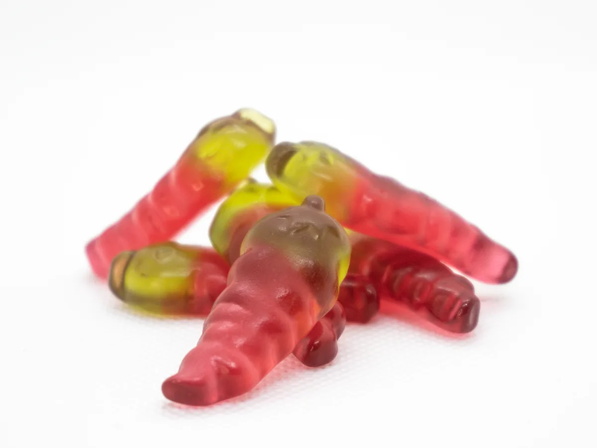 Red Hot Chilli Pepper